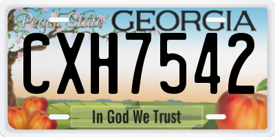 GA license plate CXH7542