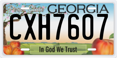 GA license plate CXH7607