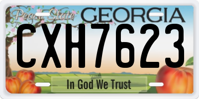 GA license plate CXH7623