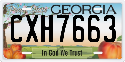 GA license plate CXH7663