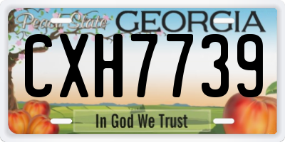 GA license plate CXH7739
