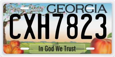 GA license plate CXH7823