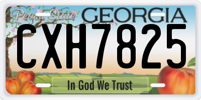 GA license plate CXH7825