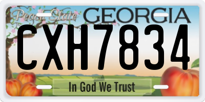 GA license plate CXH7834