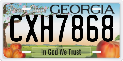 GA license plate CXH7868