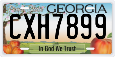 GA license plate CXH7899