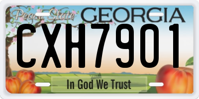 GA license plate CXH7901