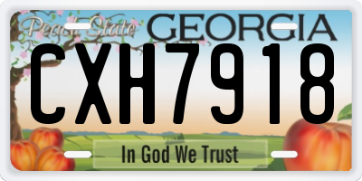 GA license plate CXH7918