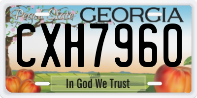GA license plate CXH7960