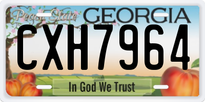 GA license plate CXH7964