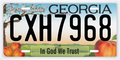 GA license plate CXH7968
