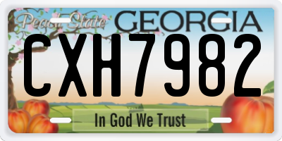 GA license plate CXH7982