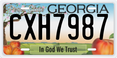 GA license plate CXH7987