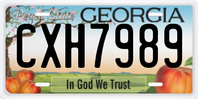 GA license plate CXH7989