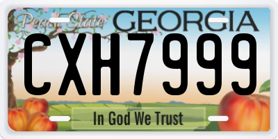 GA license plate CXH7999