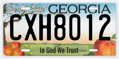 GA license plate CXH8012