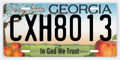 GA license plate CXH8013