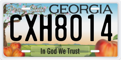 GA license plate CXH8014