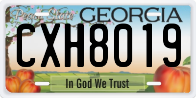 GA license plate CXH8019