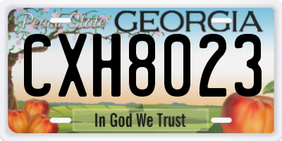 GA license plate CXH8023