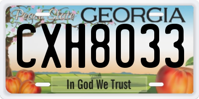 GA license plate CXH8033