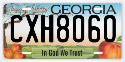 GA license plate CXH8060