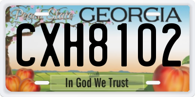 GA license plate CXH8102