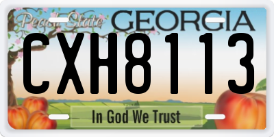 GA license plate CXH8113