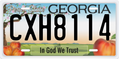 GA license plate CXH8114