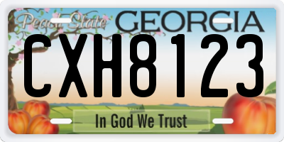 GA license plate CXH8123