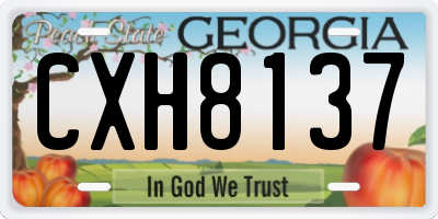 GA license plate CXH8137