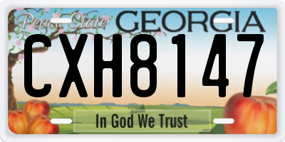 GA license plate CXH8147
