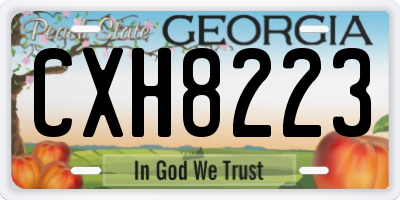 GA license plate CXH8223