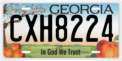 GA license plate CXH8224