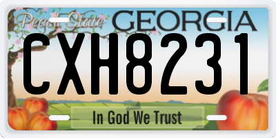 GA license plate CXH8231
