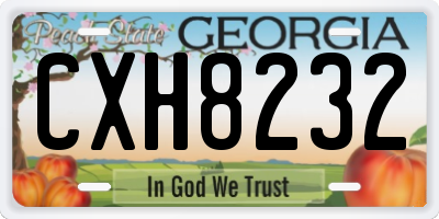 GA license plate CXH8232