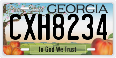 GA license plate CXH8234