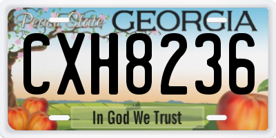 GA license plate CXH8236