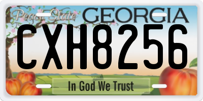 GA license plate CXH8256