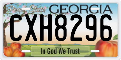 GA license plate CXH8296