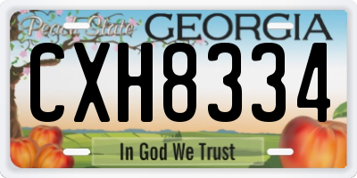 GA license plate CXH8334