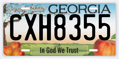 GA license plate CXH8355