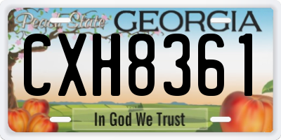 GA license plate CXH8361