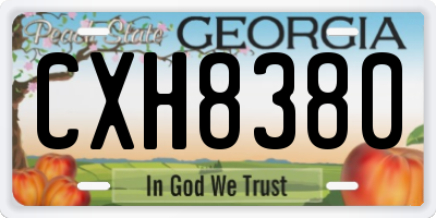 GA license plate CXH8380