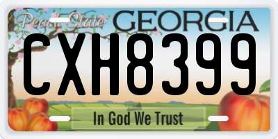 GA license plate CXH8399