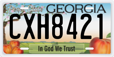 GA license plate CXH8421