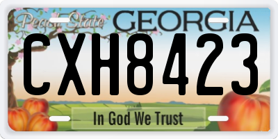 GA license plate CXH8423