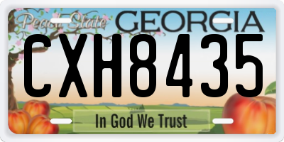 GA license plate CXH8435
