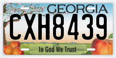 GA license plate CXH8439