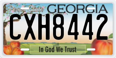GA license plate CXH8442